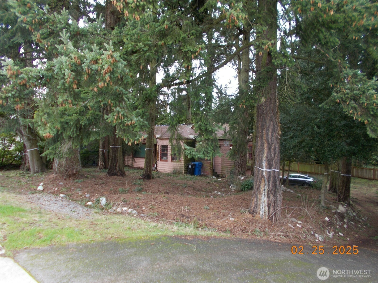 Property Photo:  604 N 143rd Street  WA 98133 