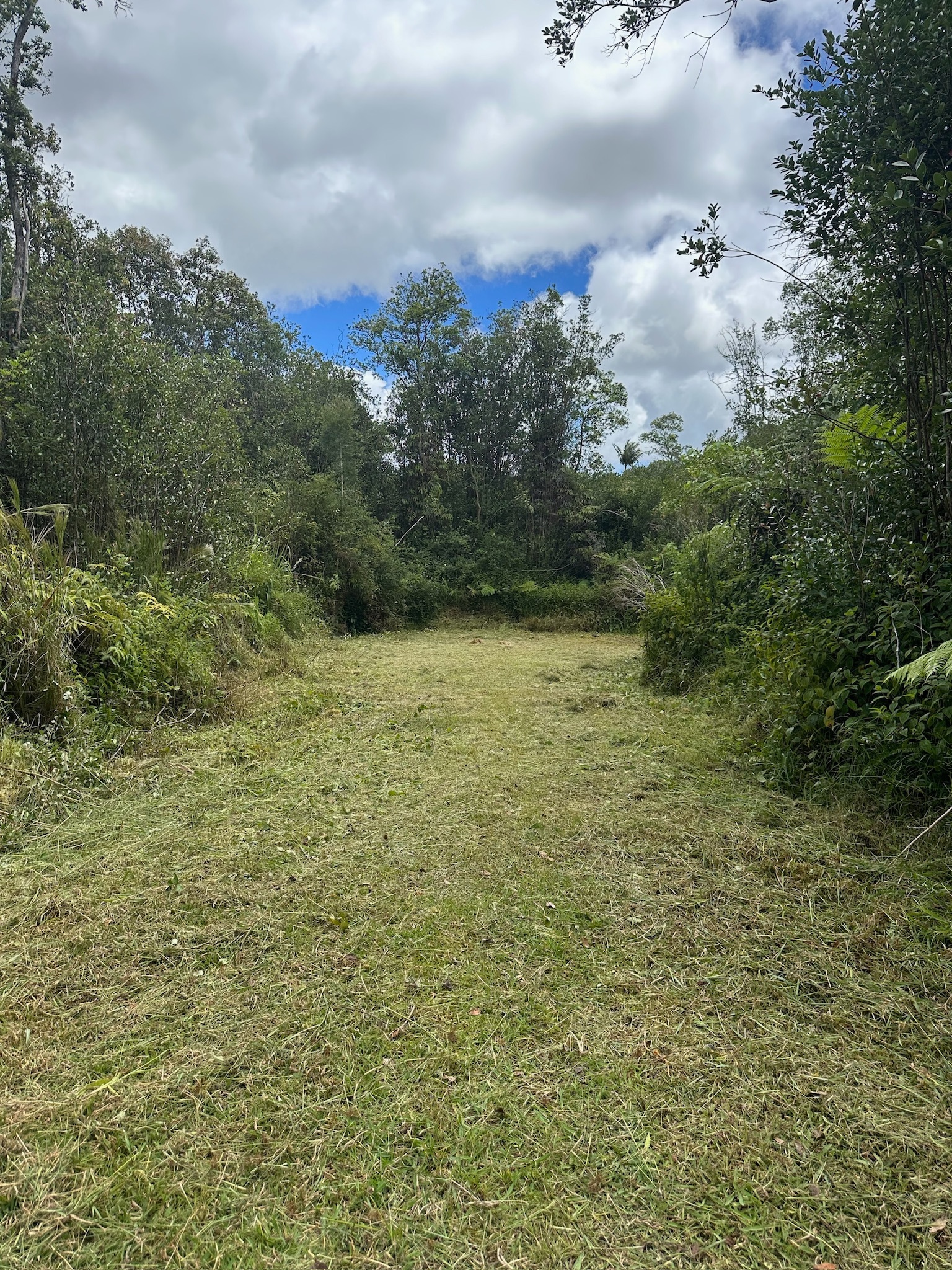 Property Photo:  Kanahele Pl  HI 96785 