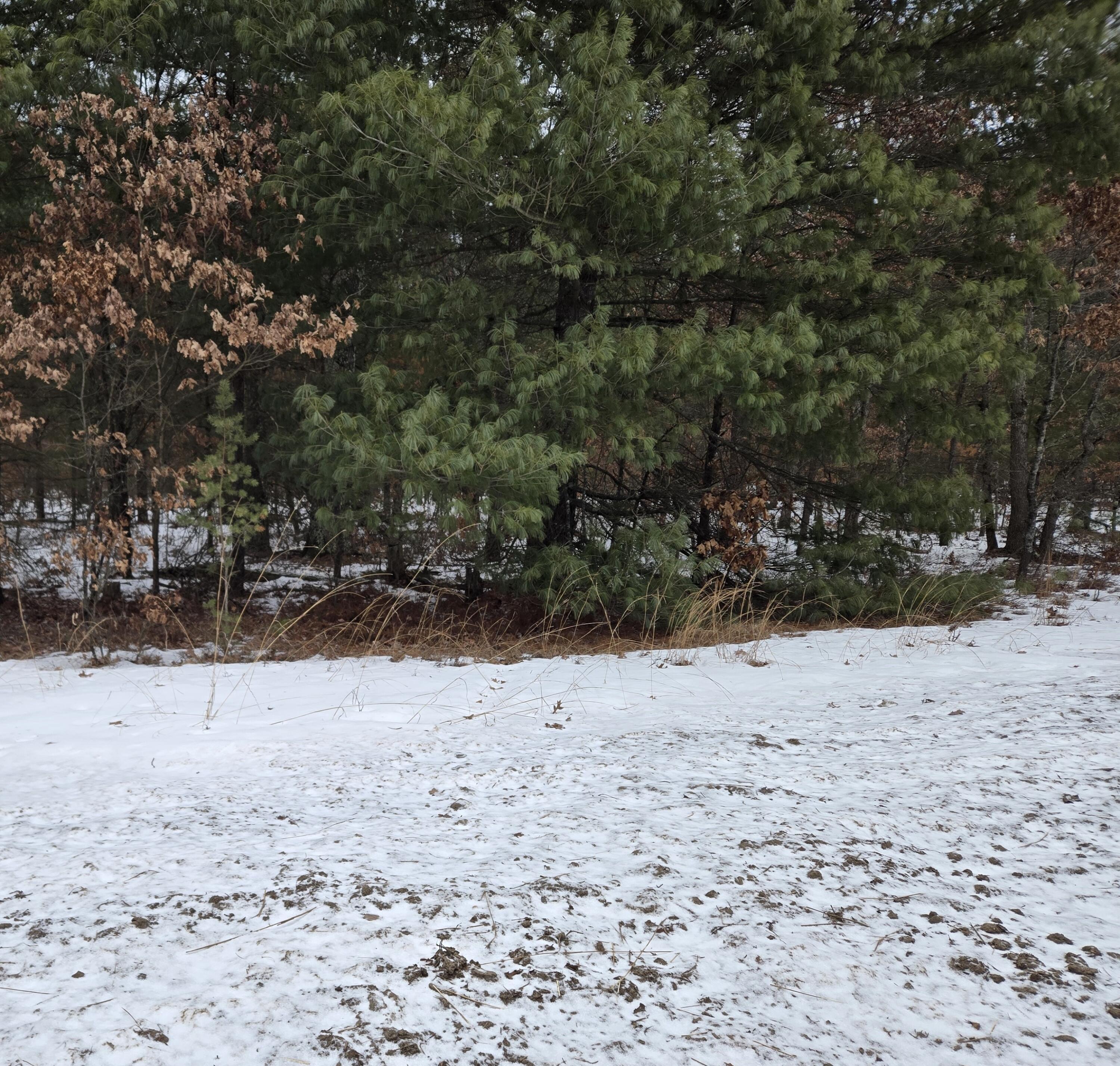 Property Photo: 00 E 42 Nd MI 49642