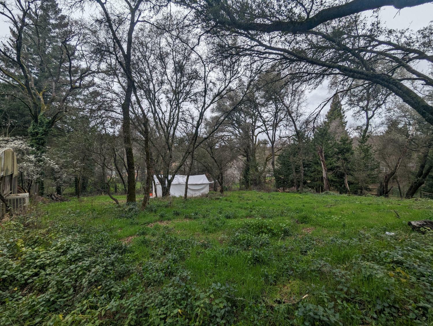 Property Photo: 0 Millertown Road CA 95603
