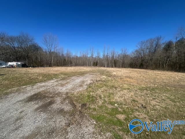 4277 Hobbs Island Road  Owens Cross Roads AL 35763 photo