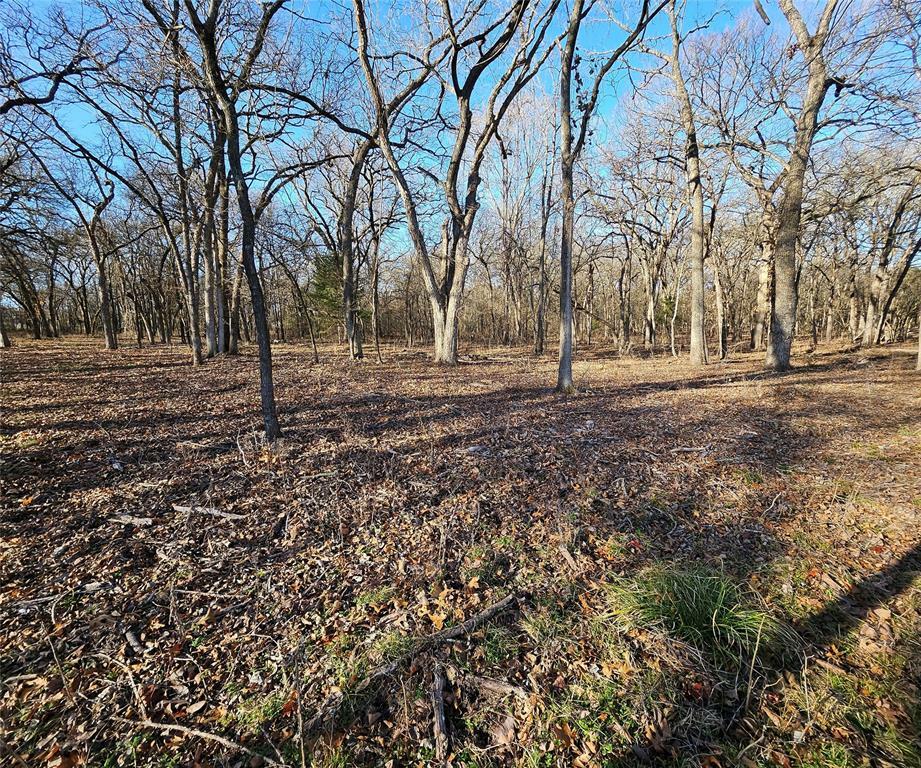 Photo de la propriété:  Lot 221 Banjo Court  TX 76225 