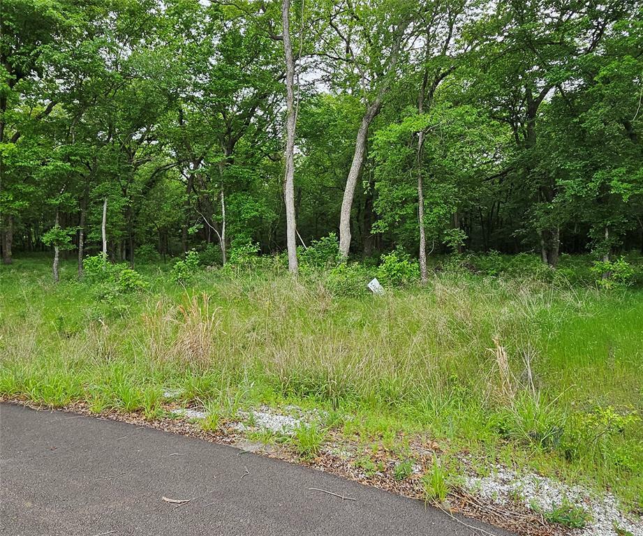 Property Photo:  Lot 221 Banjo Court  TX 76225 