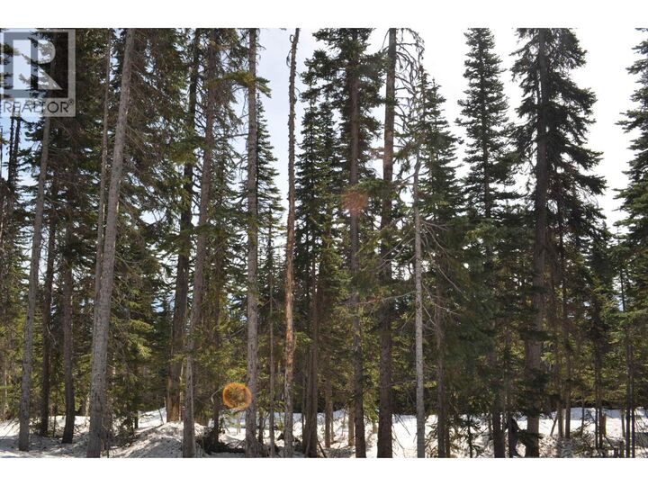 Property Photo:  Lt 6 Alpine Way Pr. St  BC V0J 2N0 