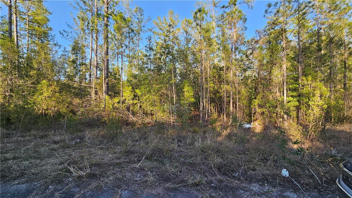 Property Photo: 9 Satilla Plantation Drive GA 31566
