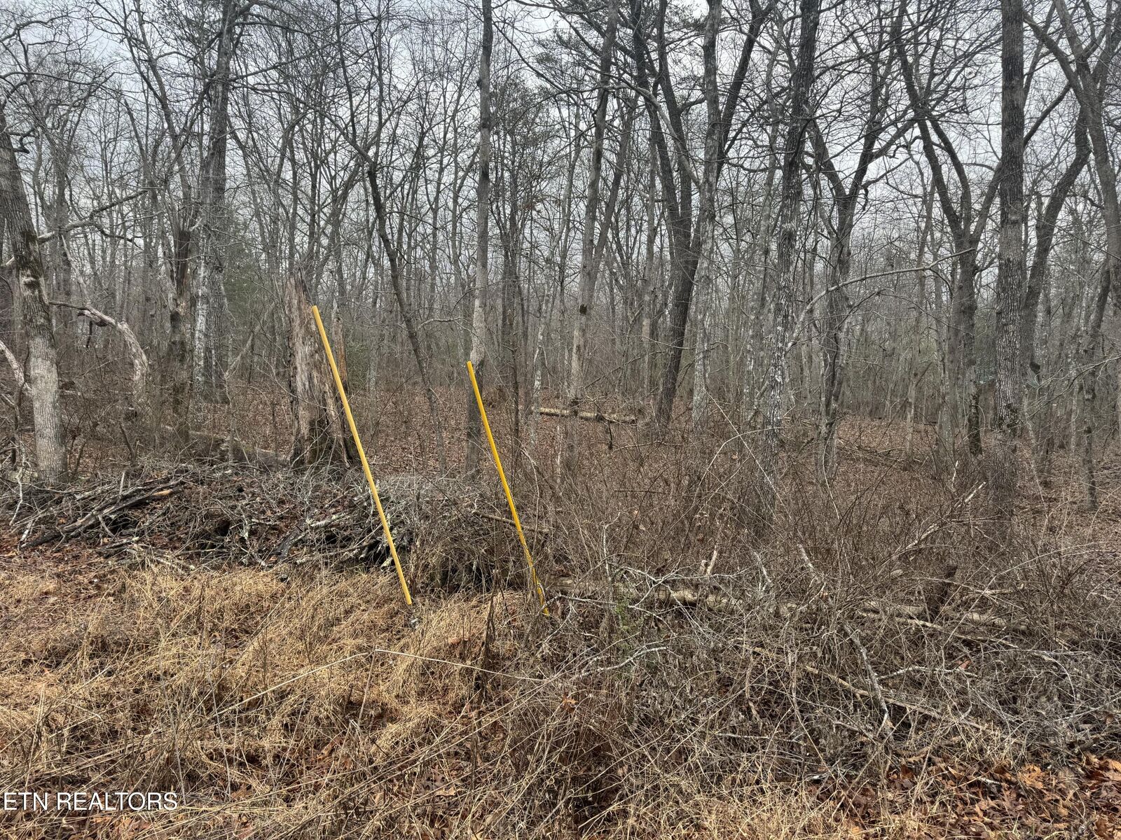 Property Photo: 4011 Klamath Circle TN 38572