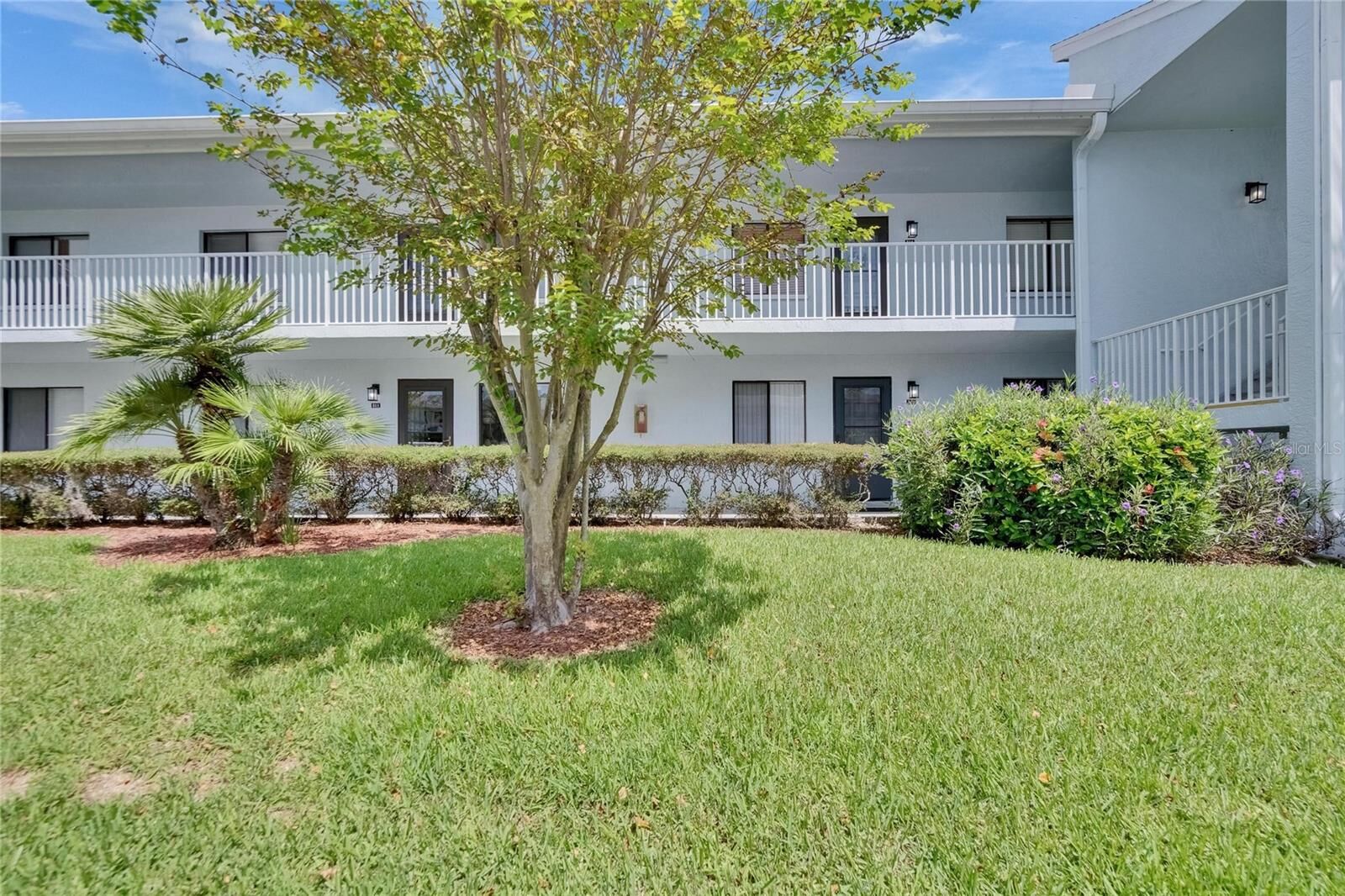 Property Photo:  313 Martha Lane 4  FL 34677 