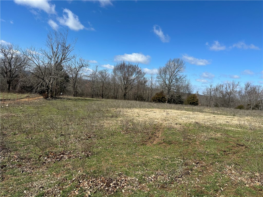 Property Photo: Tbd County Road 731 AR 72616