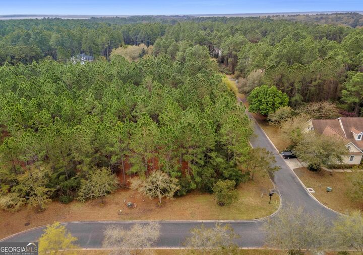 V/L 198 Plank Lane  St. Marys GA 31558 photo