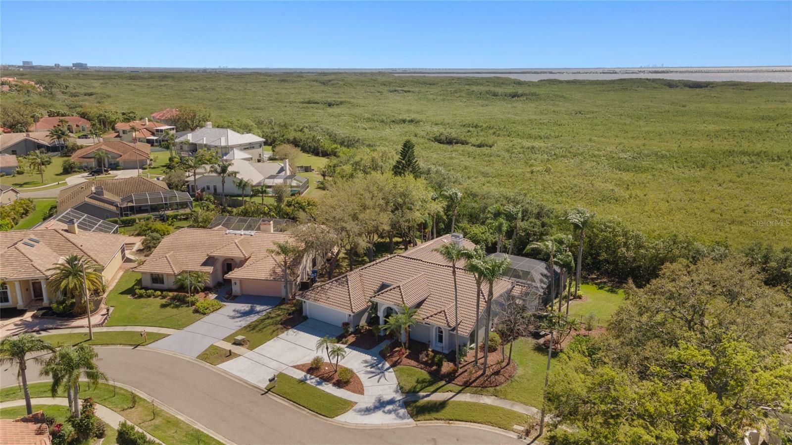 Property Photo: 10408 Double Bayou Way FL 33615