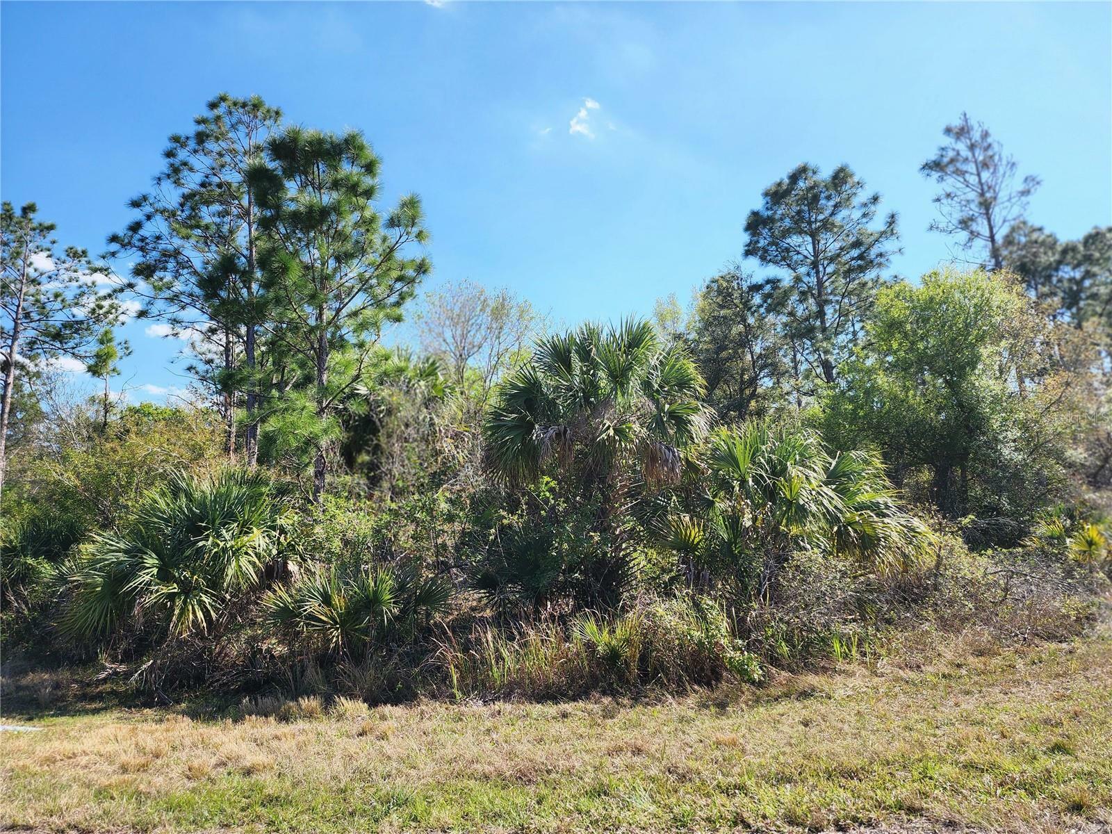 Property Photo: Lot 7 Ironside Street FL 34288