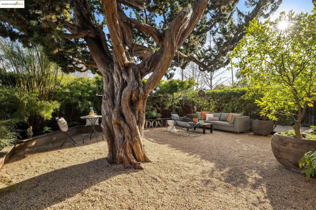 Property Photo: 2960 Benvenue Ave CA 94705
