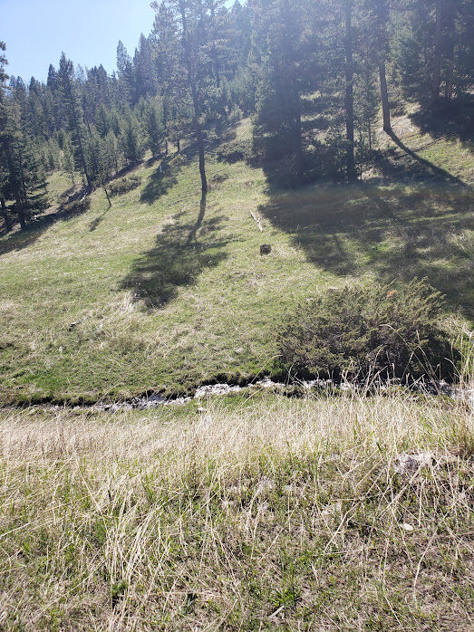 Property Photo: Tbd Cyclone Ms #3792 MT 59645