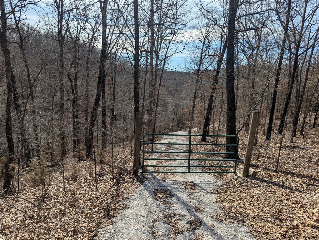 Property Photo: Bill Billings Road AR 72732