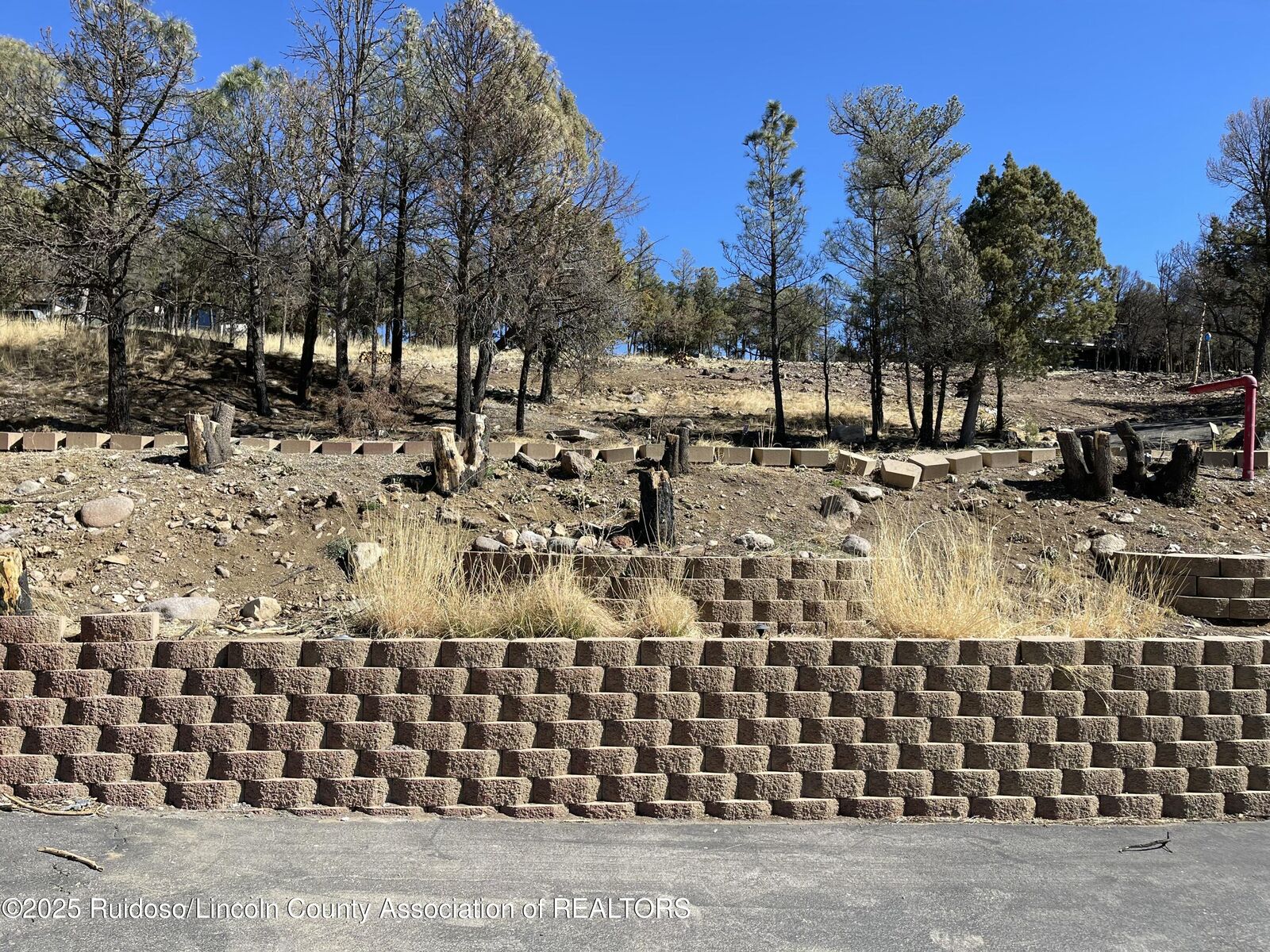 Property Photo:  114 Buena Vista Drive  NM 88312 