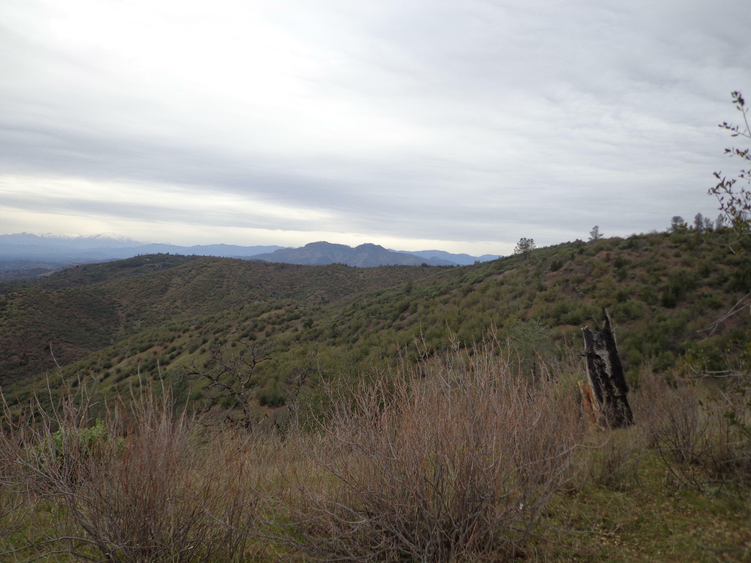 Property Photo:  Backbone Road  CA 96008 