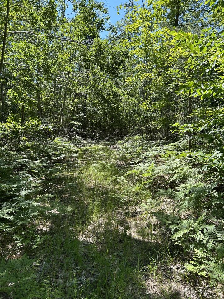 Property Photo:  Parcel ''E Woodmansee Road  MI 49721 