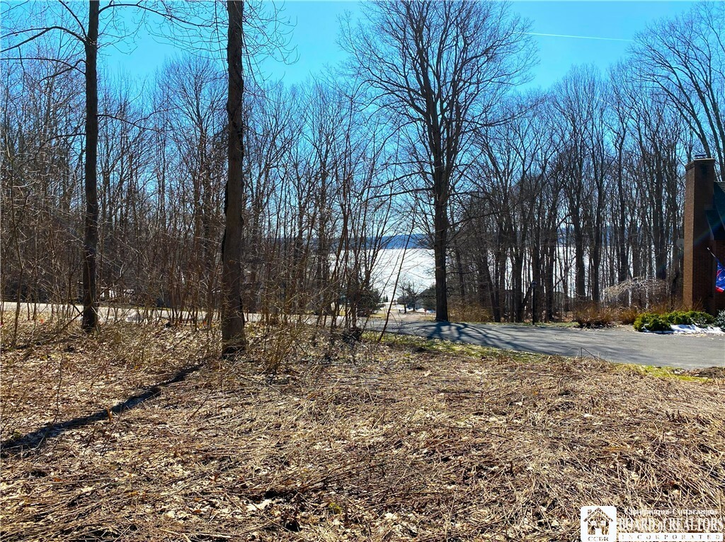 Property Photo: 5482 Scandia Drive NY 14712