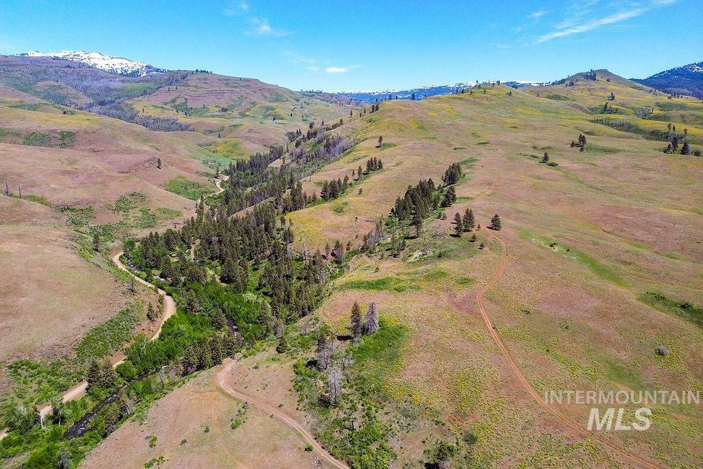 Property Photo: 255 Ac Fall Creek Road ID 83612
