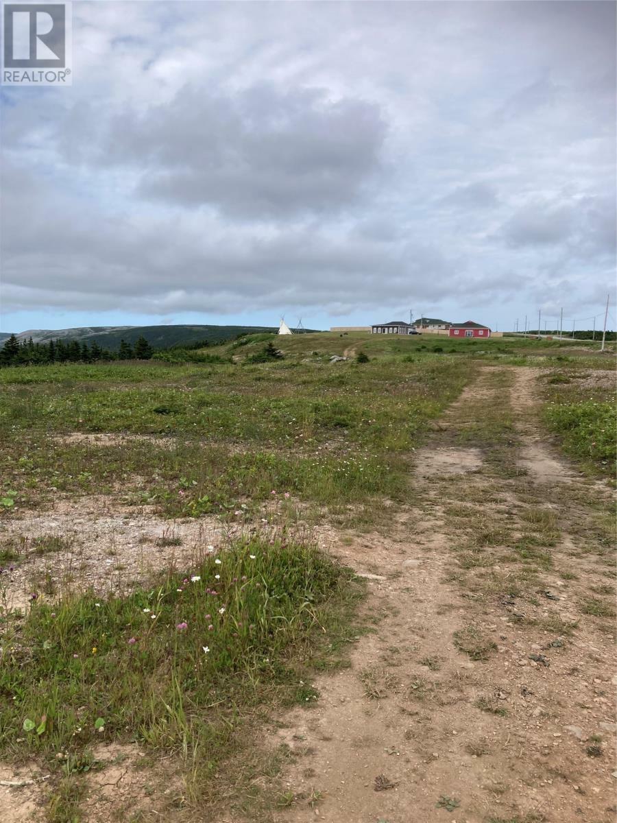 Photo de la propriété:  1690 Oceanview Drive  NL A0N 1E0 