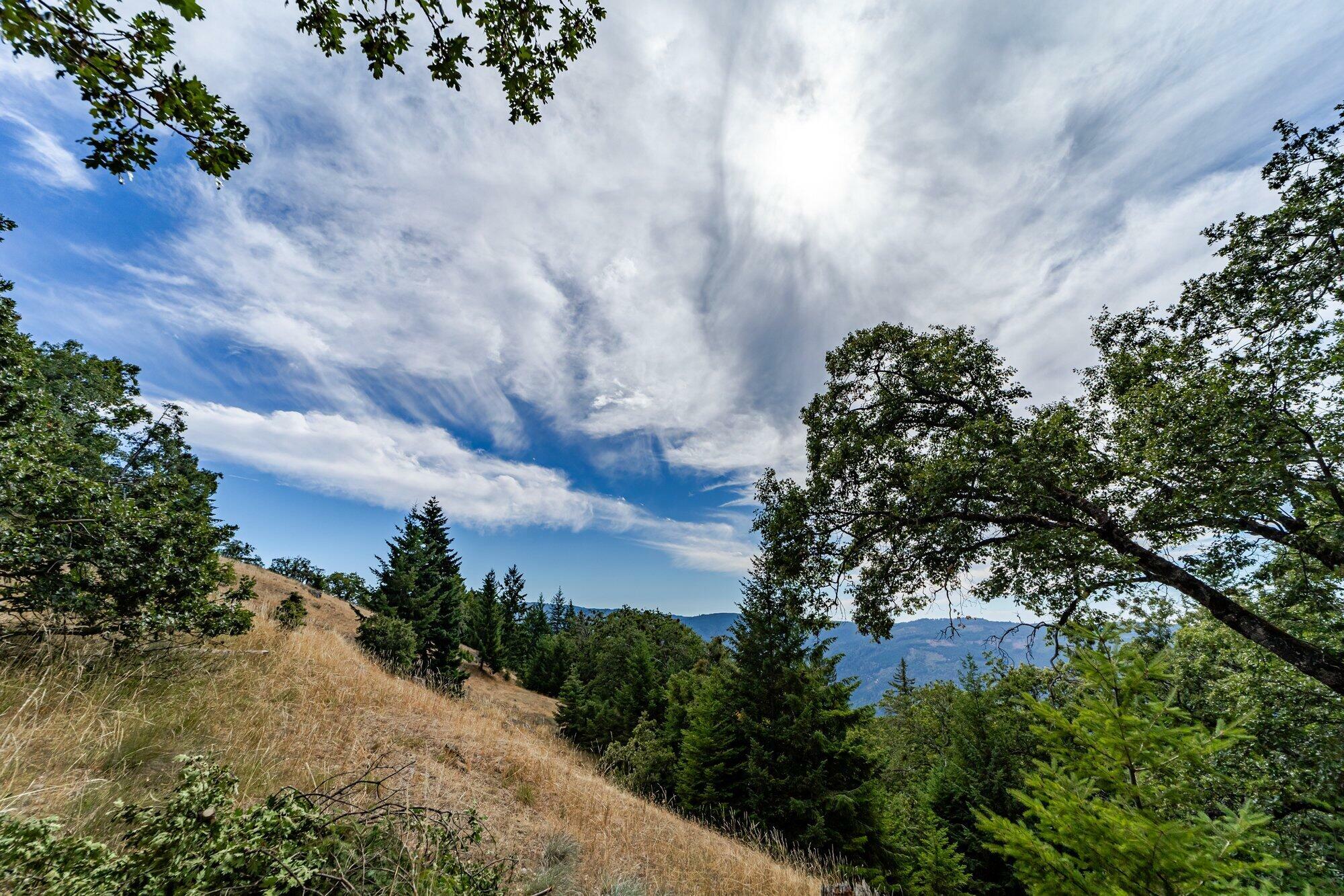 Property Photo:  2660 Titlow Hill Road  CA 95525 