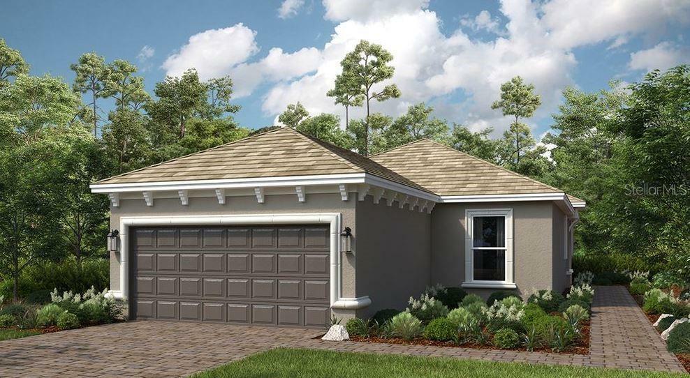 29548 Zupetta Lane  Wesley Chapel FL 33543 photo