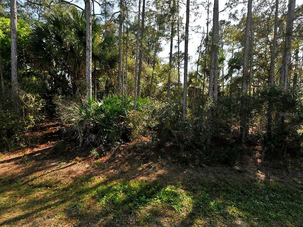 Property Photo:  Eldron Avenue  FL 34286 