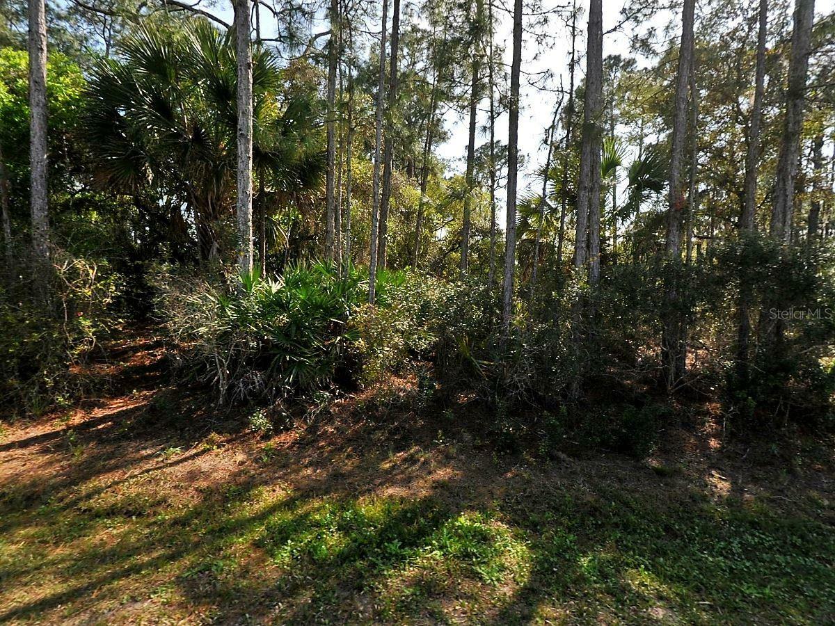 Property Photo: Eldron Avenue FL 34286