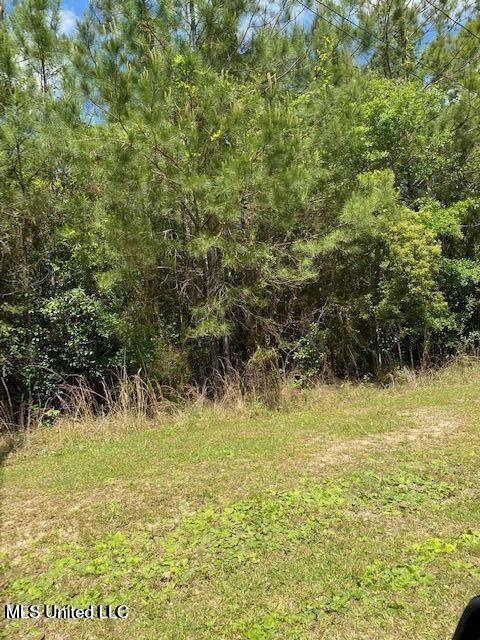 Property Photo:  10737 Linohau Way  MS 39525 