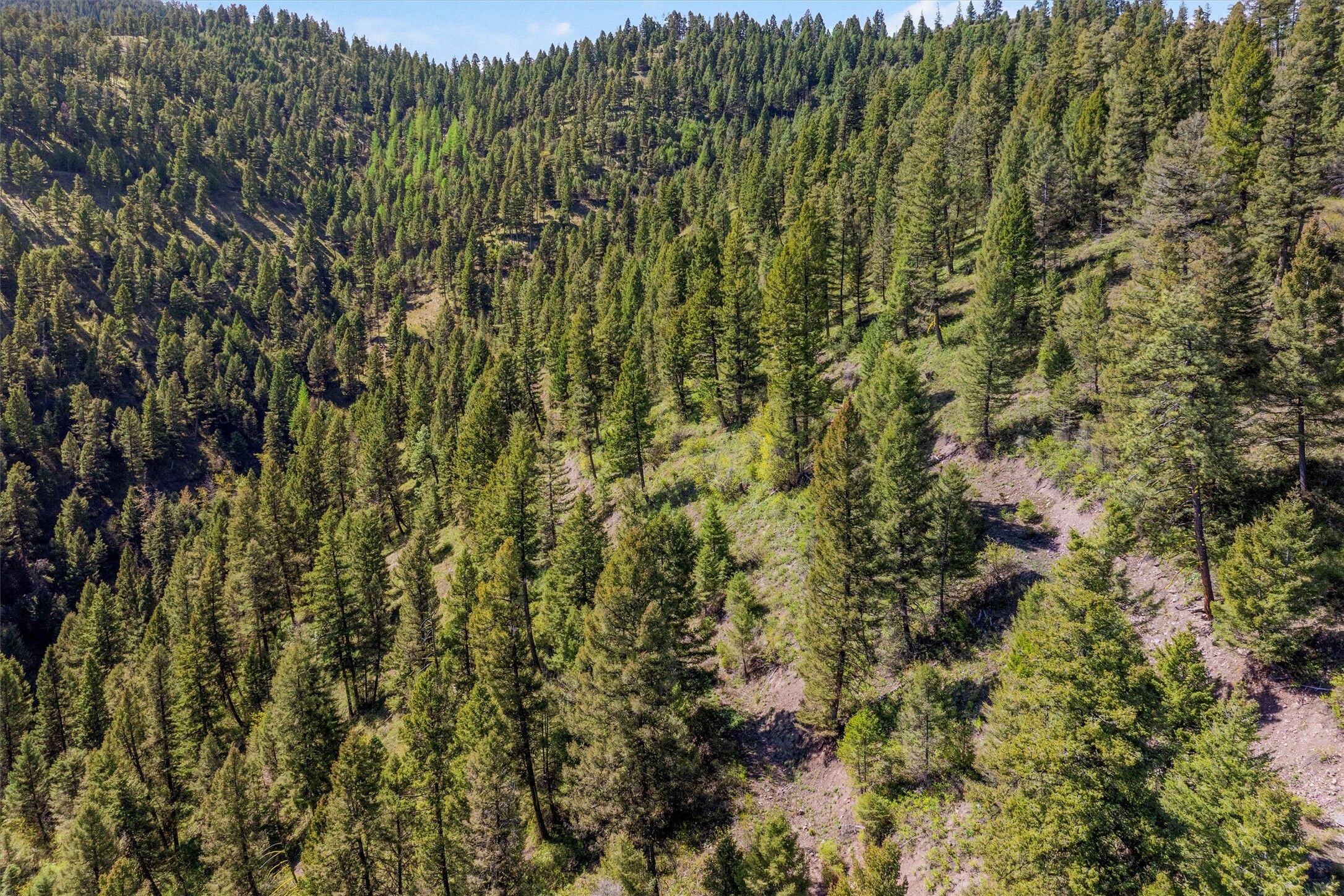 Property Photo: 25575 Patter Spur Road S MT 59825