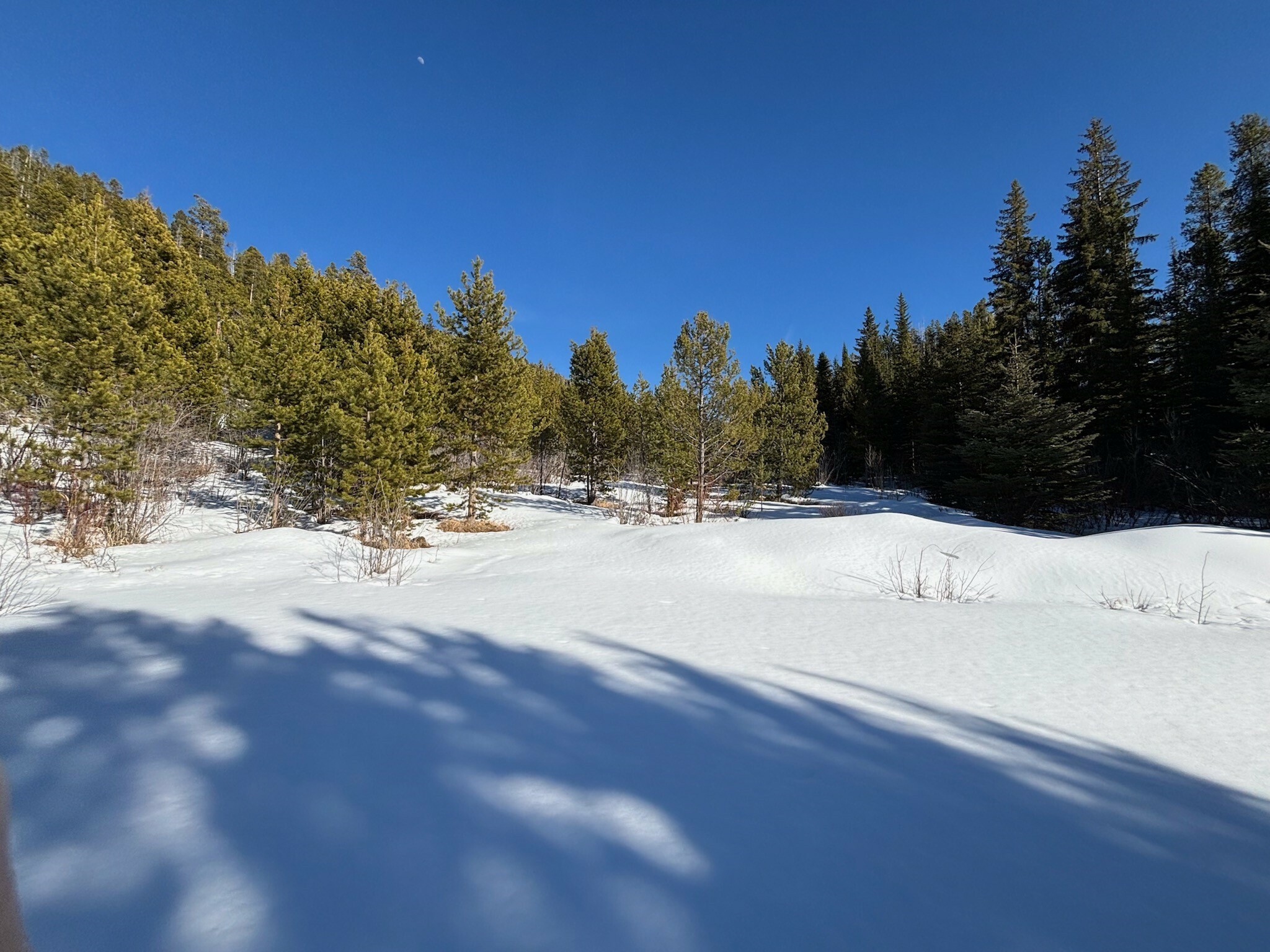 Property Photo:  121 S Granite Road  MT 59858 