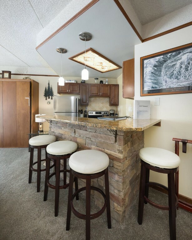 Property Photo: 45 Beeler Place 301 CO 80443