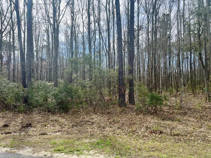 Property Photo: 112 Founders Oak Way SC 29945