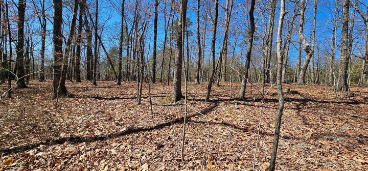 Property Photo:  1 Vista View Drive S  TN 37327 