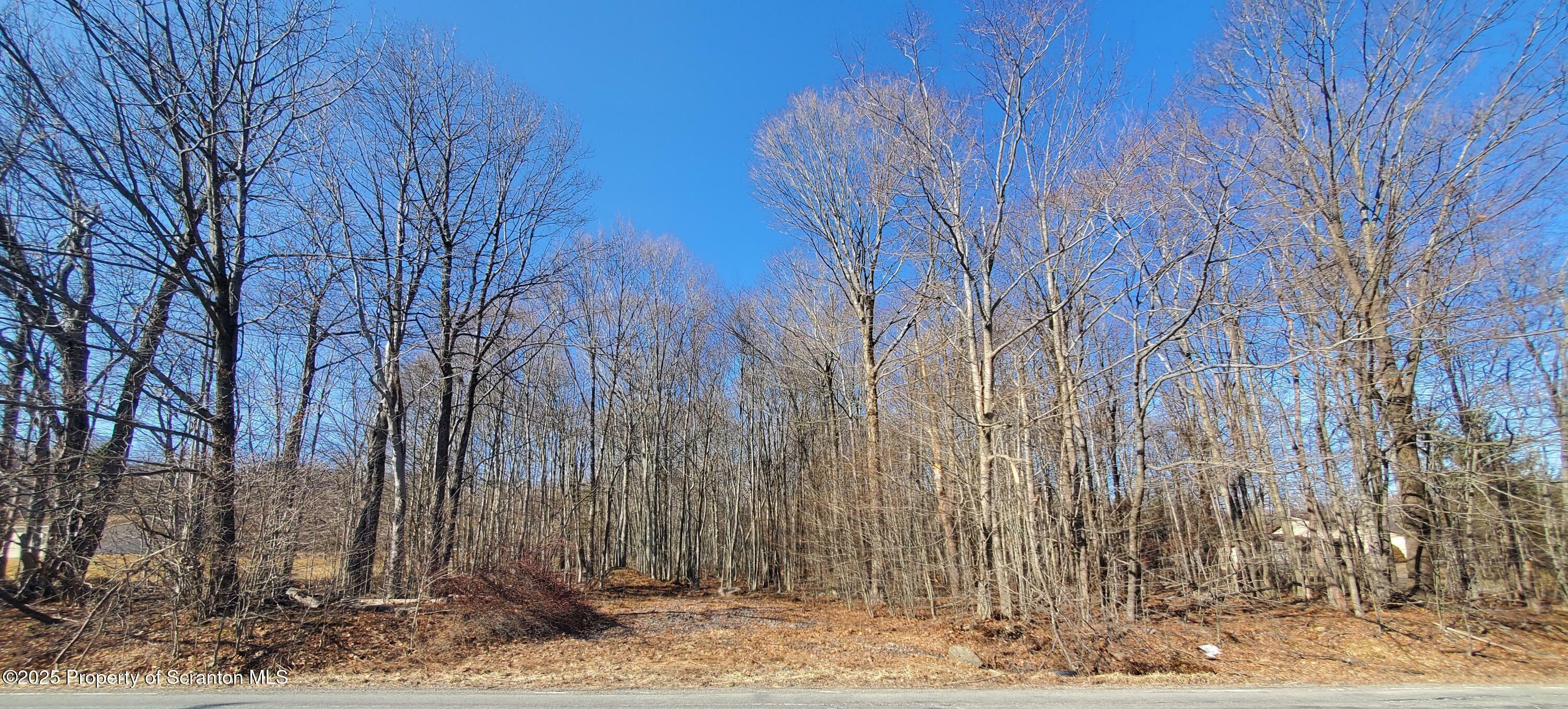 Pa-247  Forest City PA 18421 photo
