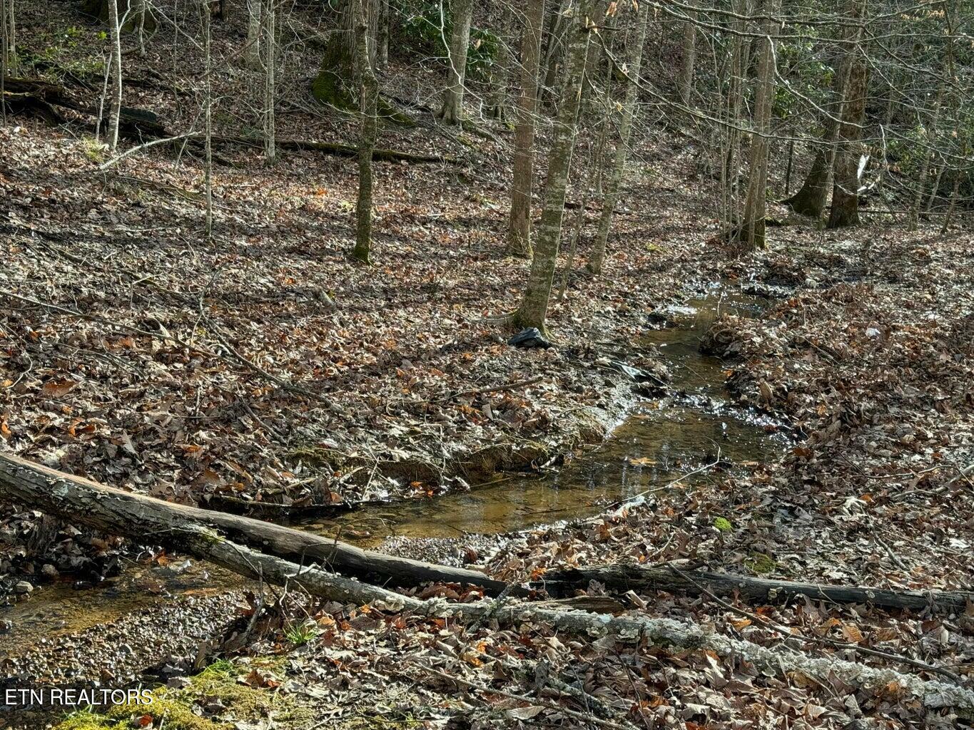 Property Photo:  714 Pinnacle Vista Rd Lot 28  TN 37738 