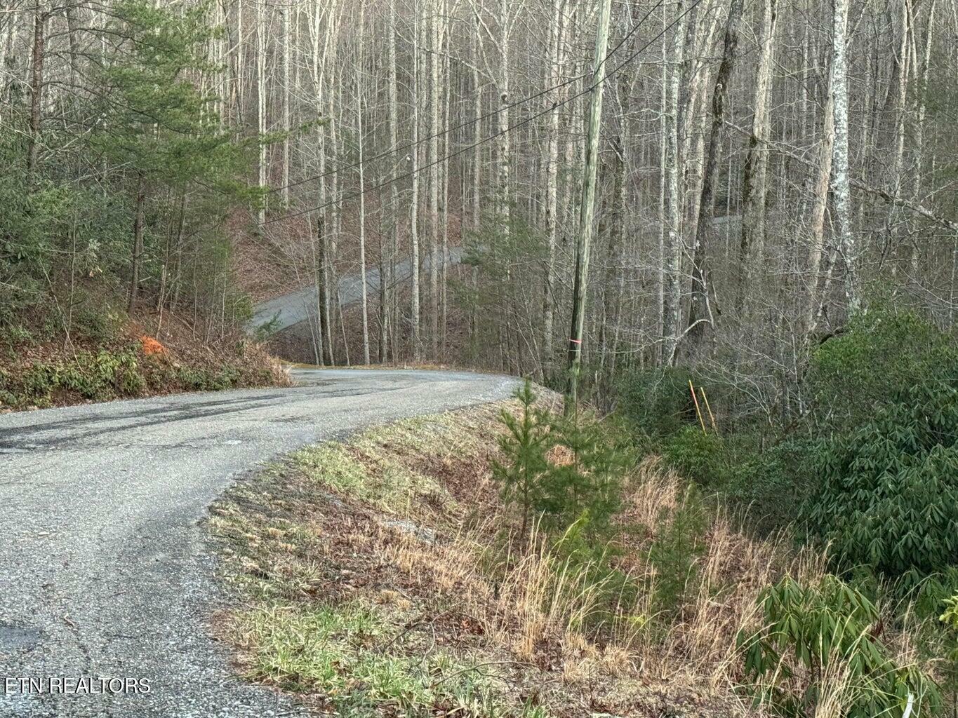 Property Photo: 714 Pinnacle Vista Rd Lot 28 TN 37738