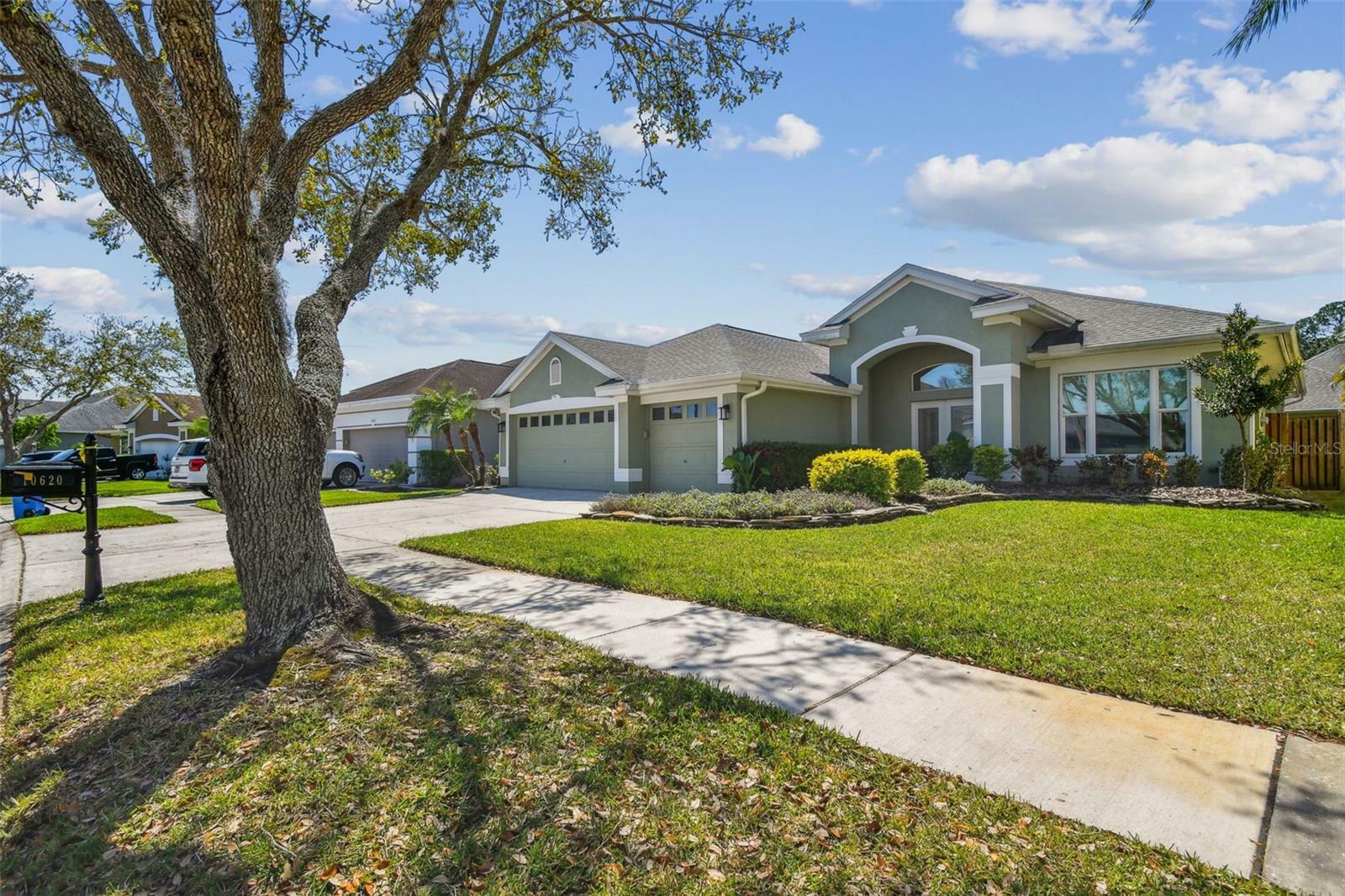 10620 Tavistock Drive  Tampa FL 33626 photo