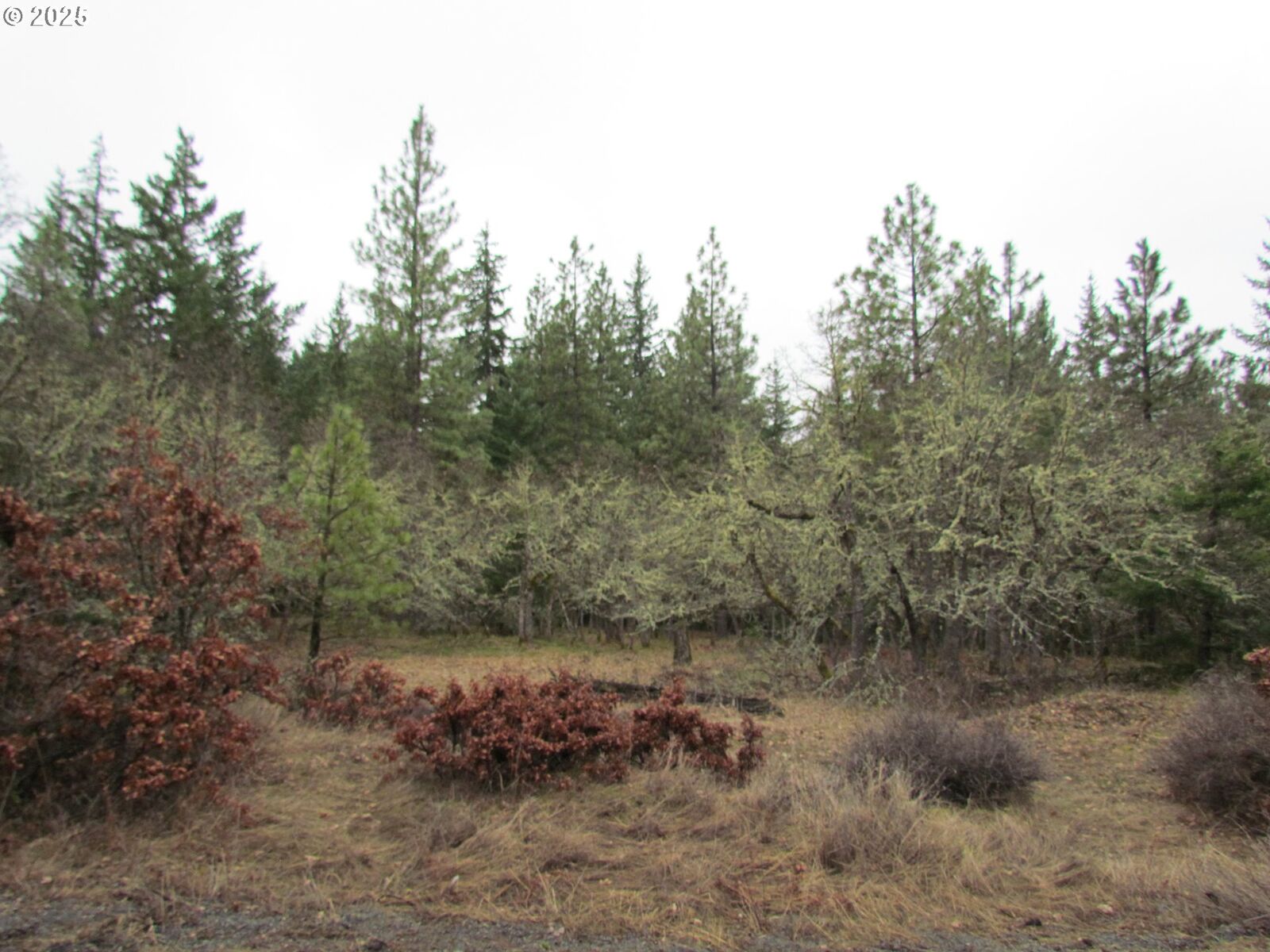 Property Photo:  55 Bertha N Orchard Rd  WA 98635