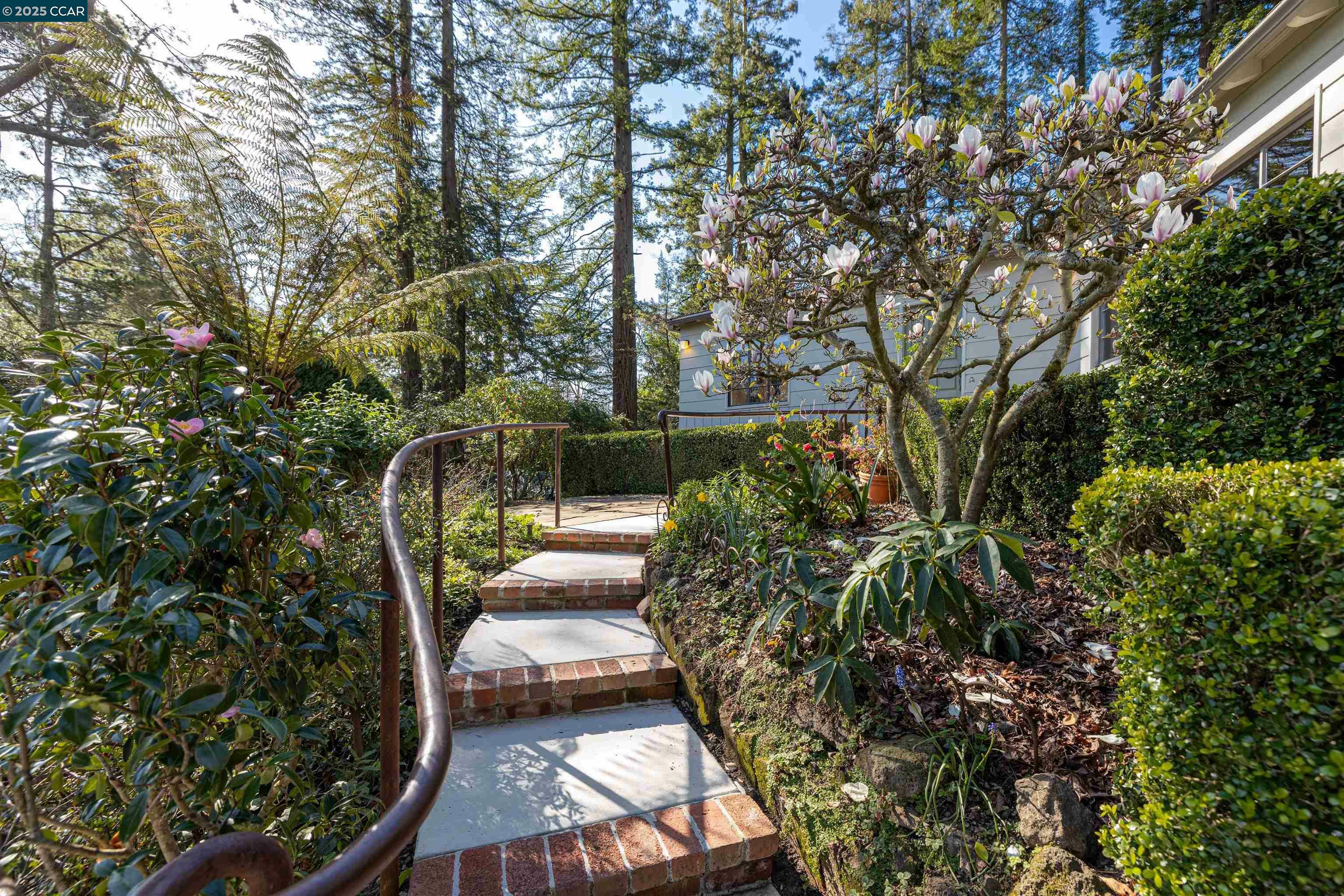 Property Photo: 636 Woodmont CA 94708