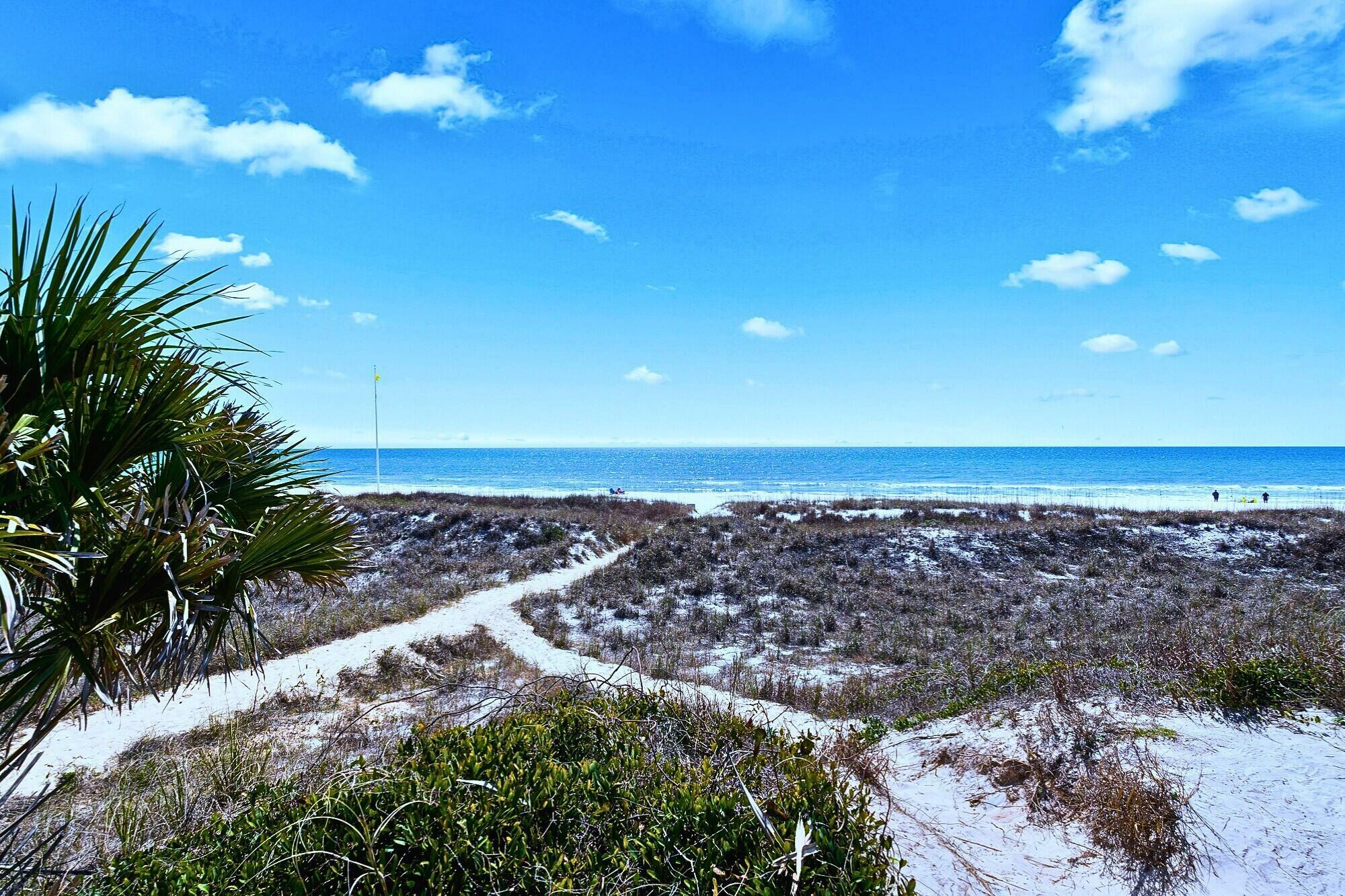 Property Photo:  19504 Front Beach Road 1006  FL 32413 