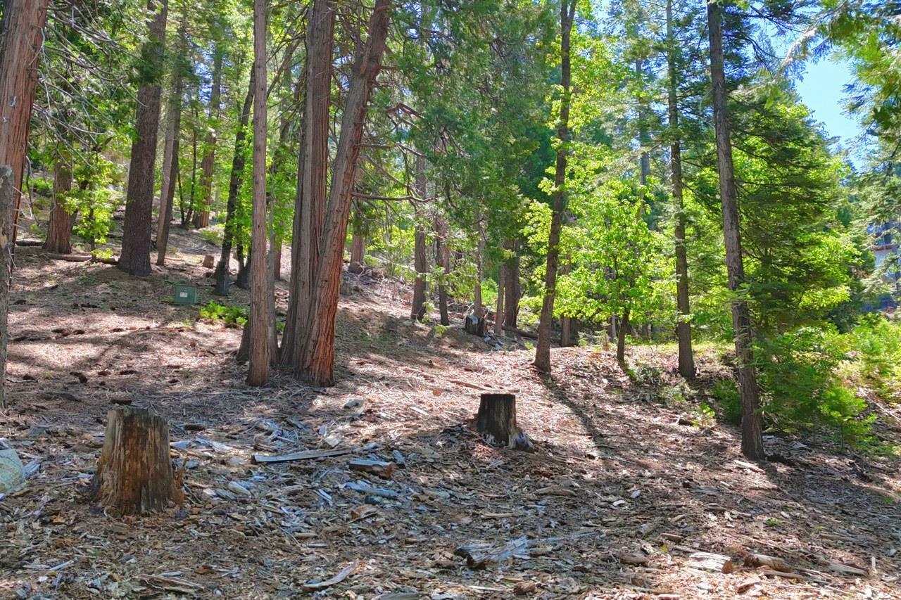Property Photo: 7220 Yosemite Park Way CA 95389