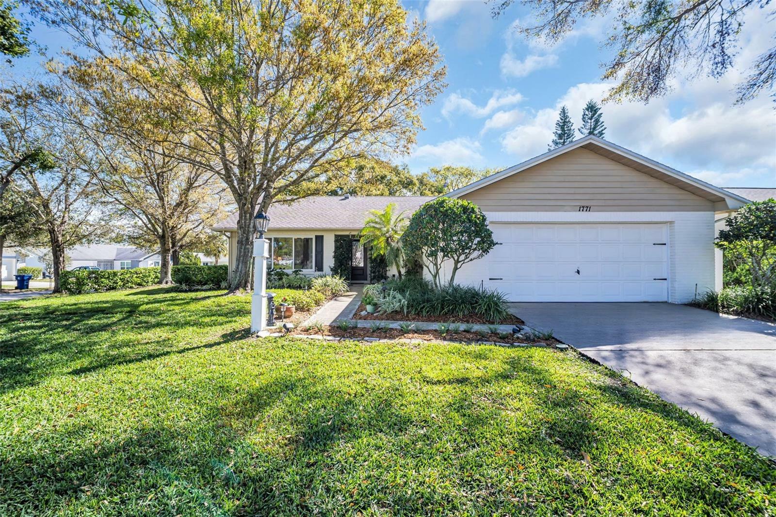 Property Photo: 1771 Macdonnell Drive FL 34684