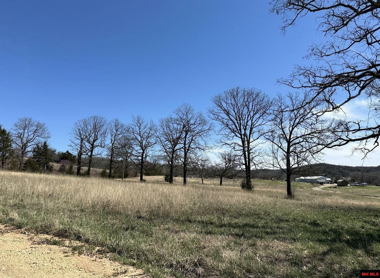Property Photo: Lot 1 Deer Meadows Lane AR 72687