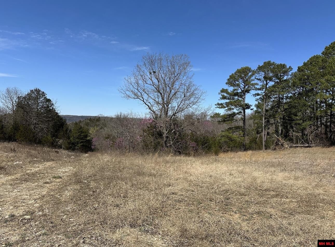 Property Photo:  Lot 1 Deer Meadows Lane  AR 72687 