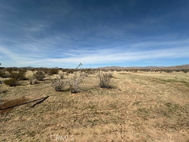 Property Photo: 0 Matawan CA 92308