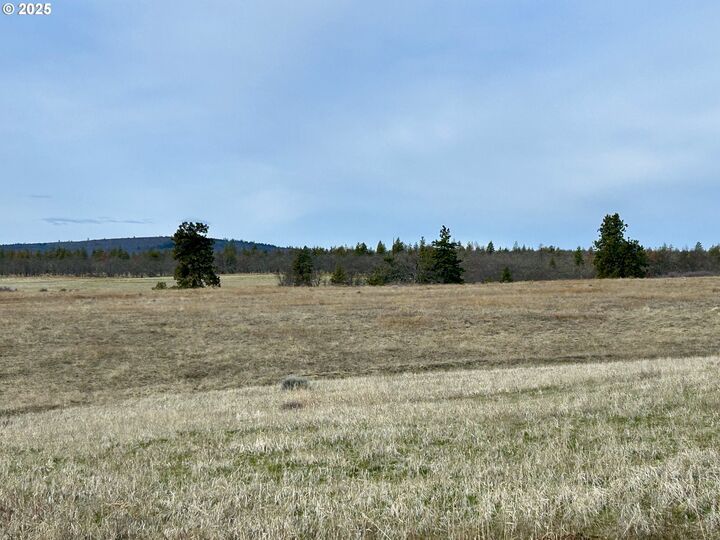 Property Photo: 71 Homestead Rd WA 98620