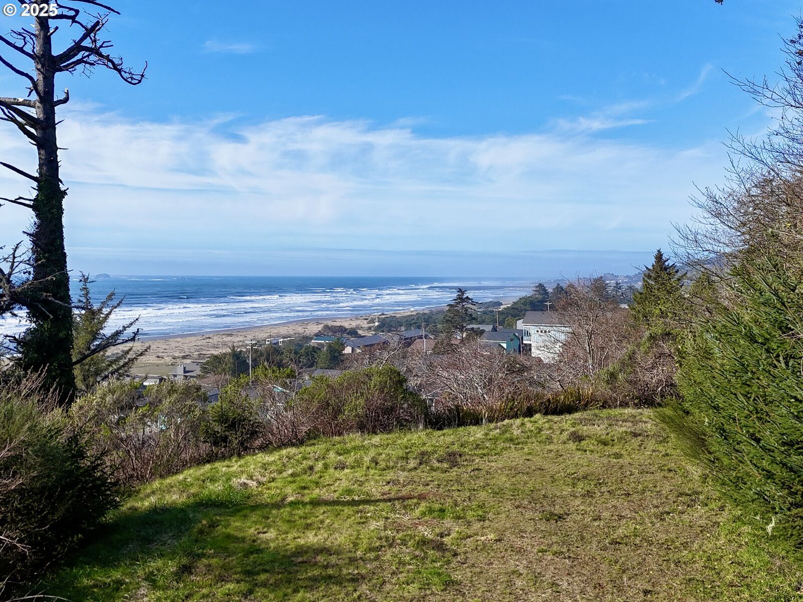 Property Photo: 95040 Pacific Vista Dr Lot 1 OR 97444