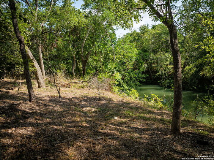 Property Photo:  Tbd Fm 621  TX 78655 