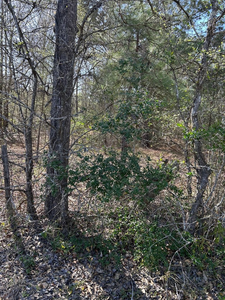 Property Photo: 538 Loving Road TX 75901